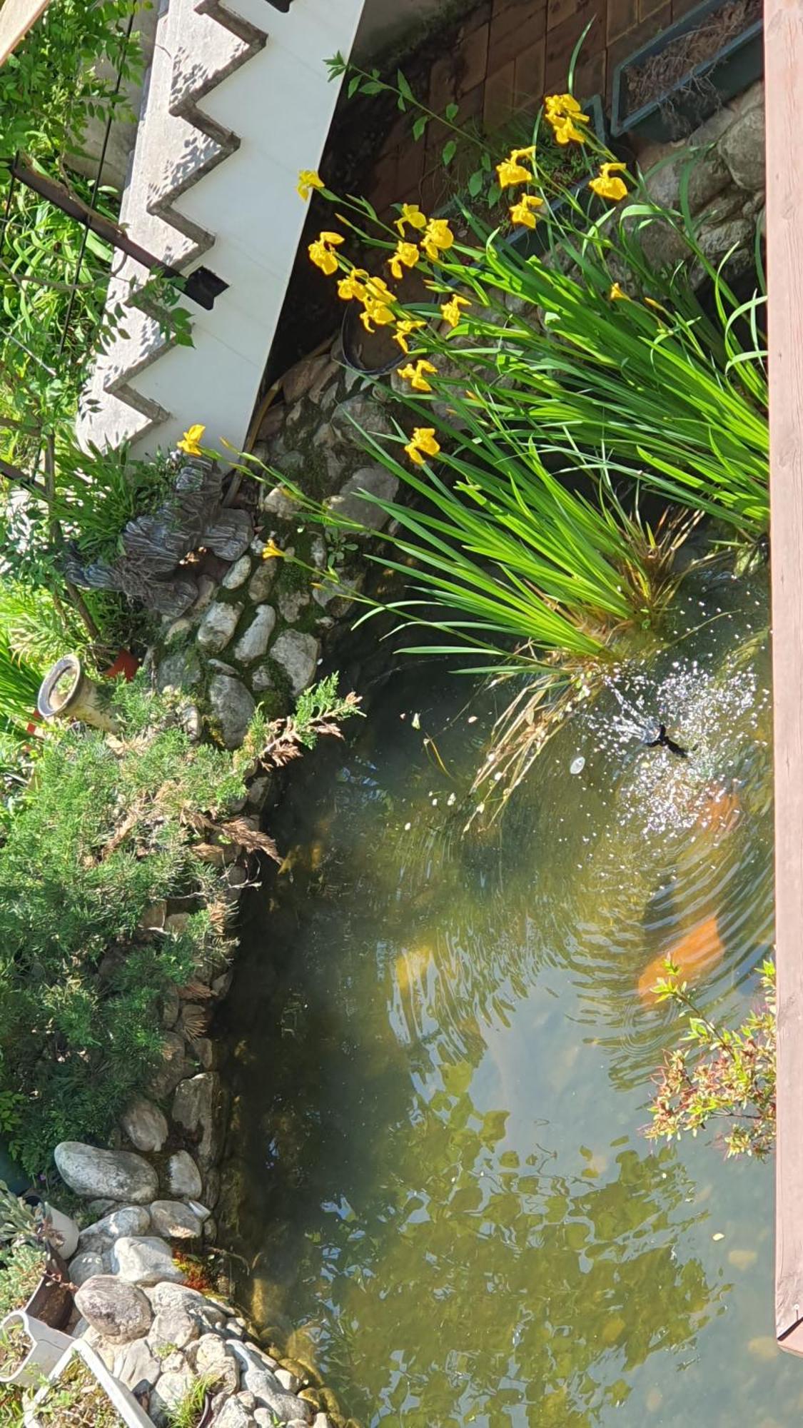 Saint Paul De Vence Villa Damyang Rum bild