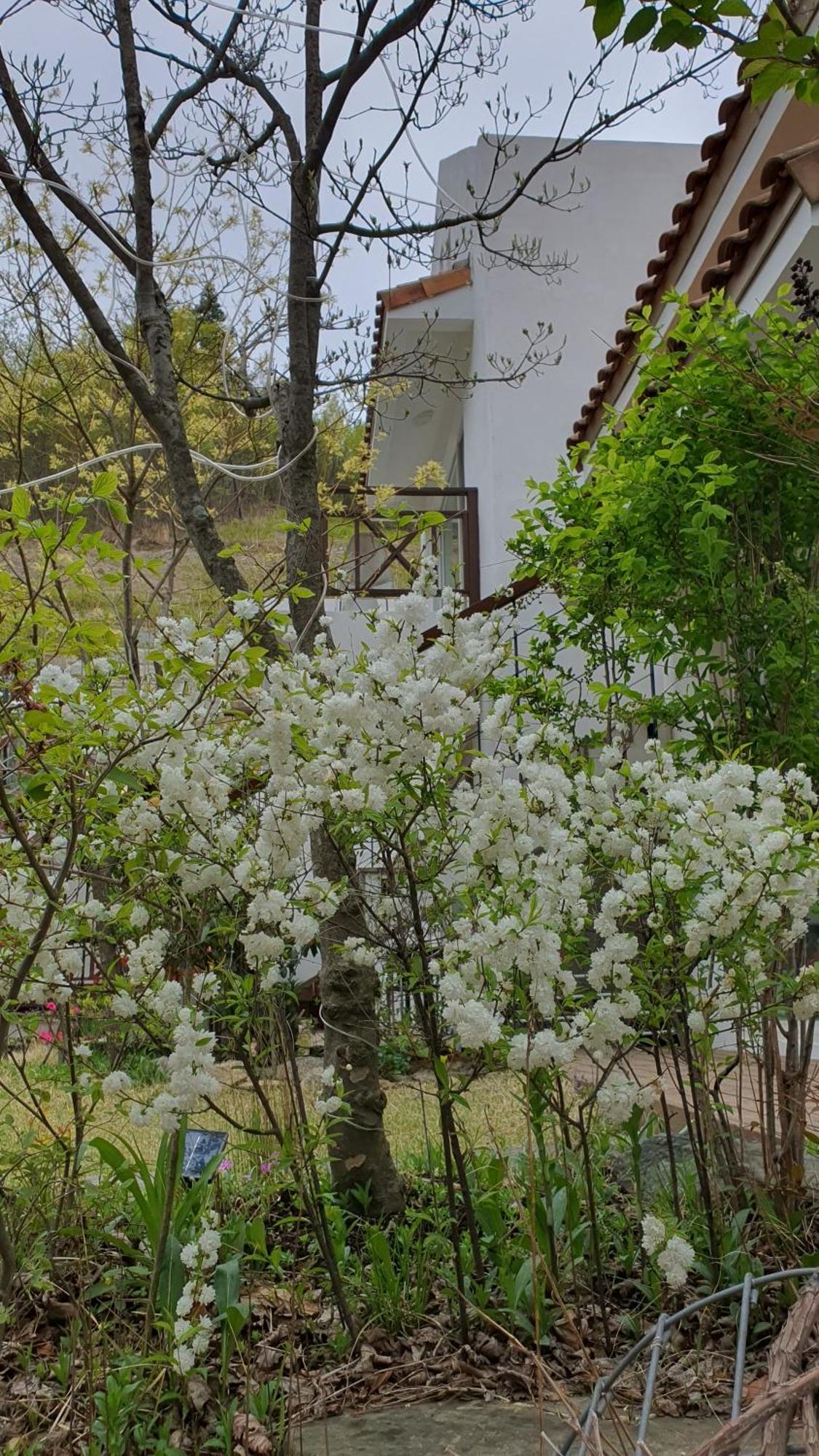 Saint Paul De Vence Villa Damyang Rum bild