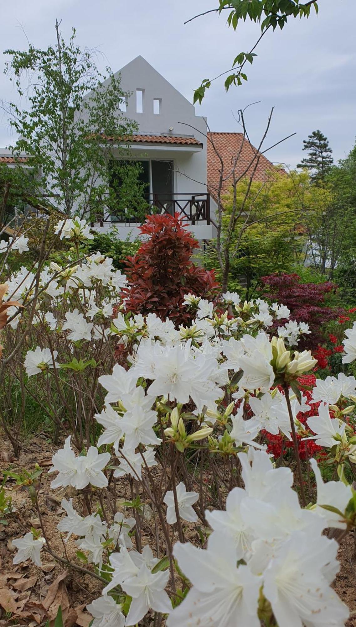 Saint Paul De Vence Villa Damyang Rum bild