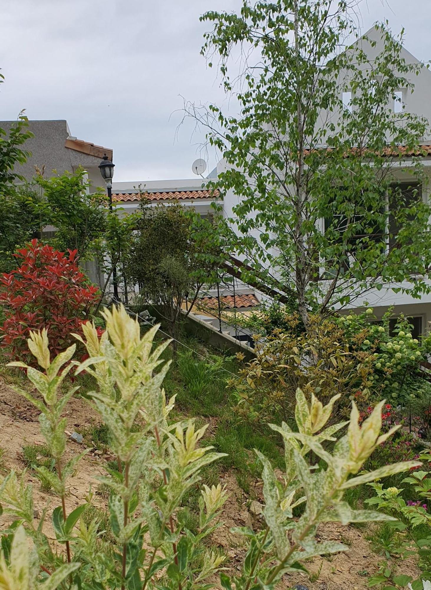 Saint Paul De Vence Villa Damyang Rum bild